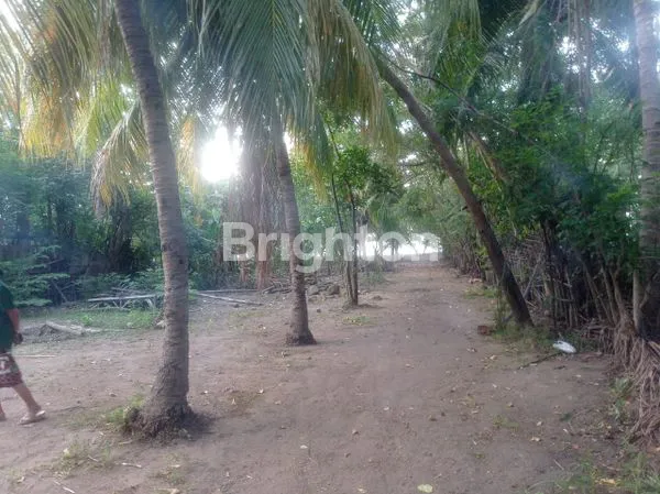 TANAH LUAS 11.116 M² DI PINGGIR PANTAI MAUMERE
