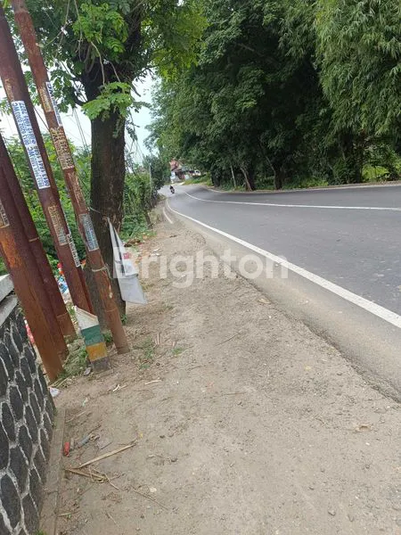 image TANAH SHM 6000M², LOKASI PINGGIR JALAN BESAR (1)