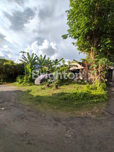 image *TANAH HOOK SHM 350M² DI TAMAN GRIYA, JIMBARAN* (4)