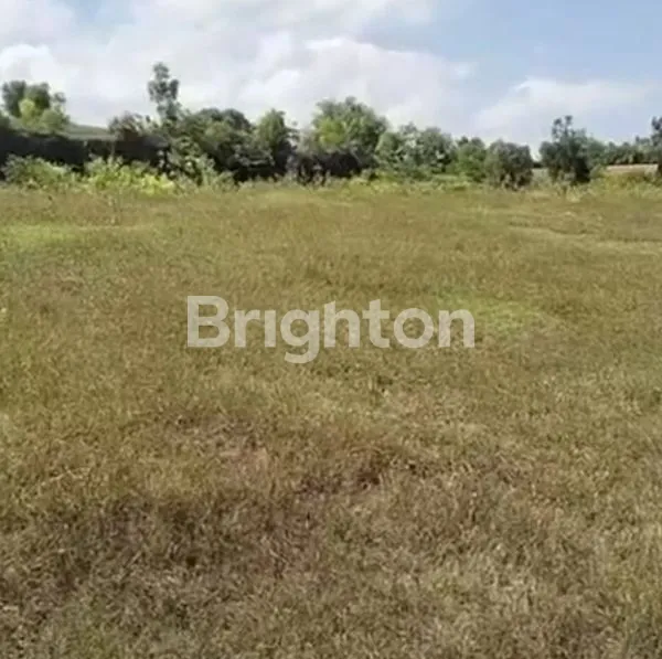 image TANAH 30 HEKTAR LONGKEK GALIS BANGKALAN (1)