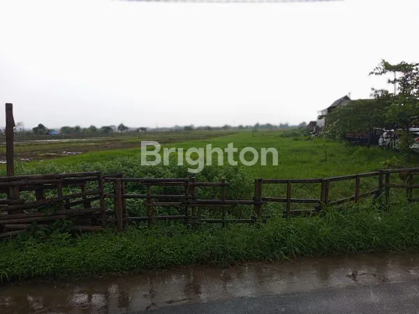 image TANAH LUAS 2269M2 DI WENDIT MALANG (4)