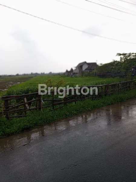 image TANAH LUAS 2269M2 DI WENDIT MALANG (3)