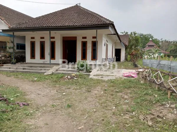 image RUMAH ASRI NUANSA PEDESAAN DI TUMPANG MALANG (1)