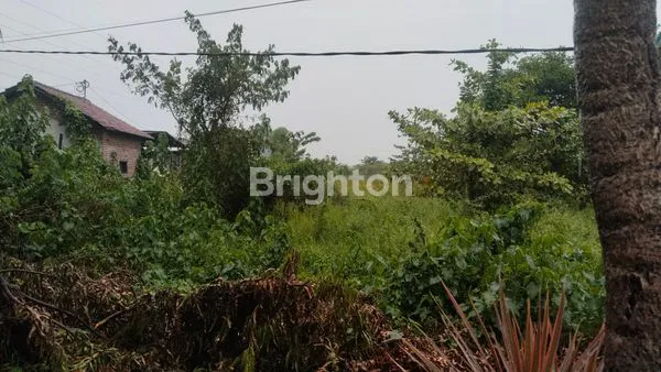 TANAH BANGIL PASURUAN JAWA TIMUR