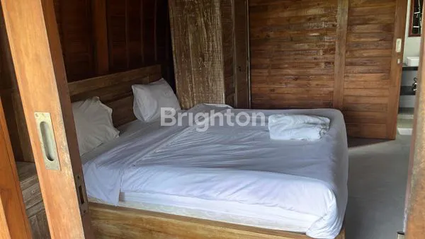 image VILLA LUMBUNG ESTETIK DI PERERENAN, CANGGU (5)