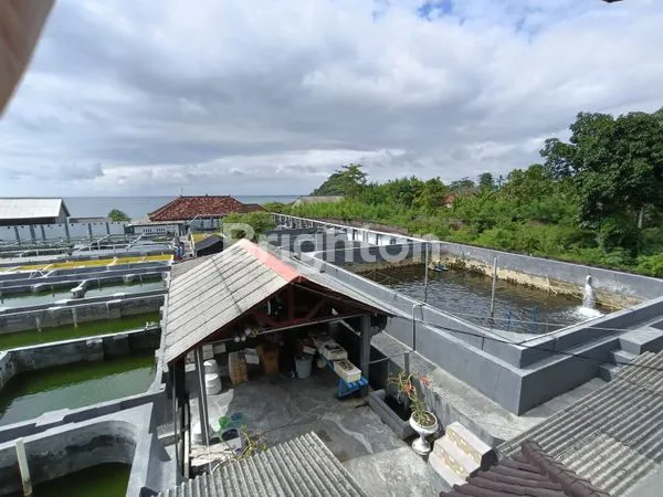 image TANAH BESERTA HATCHERY FISH FARM 0 JALAN RAYA PANTURA BALI RAYA SERIRIT GILIMANUK SANGAT STRATEGIS (6)