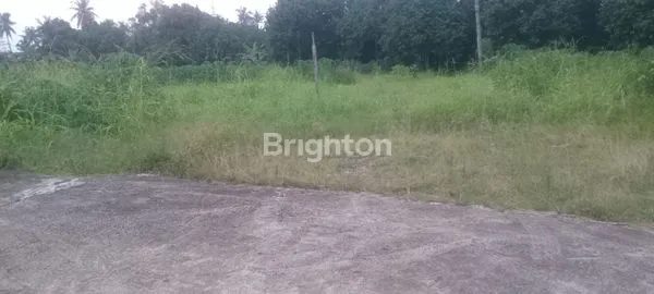 image LAHAN KOSONG DI NAMORAMBE (5)