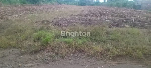 image LAHAN KOSONG DI NAMORAMBE (3)