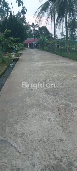 image LAHAN KOSONG DI NAMORAMBE (4)