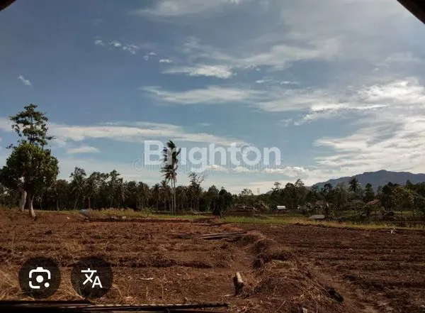 image LAHAN KOSONG DI NAMORAMBE (7)