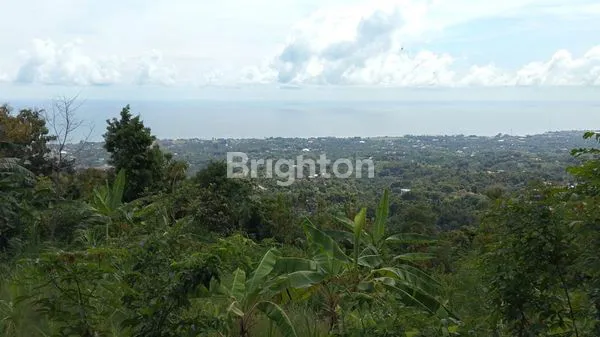 image TANAH MURAH DIJUAL DI SINGARAJA  (1)