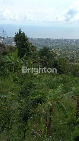 image TANAH MURAH DIJUAL DI SINGARAJA  (2)