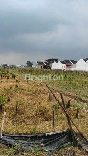 image TANAH POTENSIAL UNTUK PERUMAHAN (3)