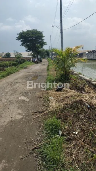 image TANAH POTENSIAL UNTUK PERUMAHAN (2)