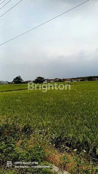 image TANAH INDUSTRI LUAS DI MOJOAGUNG JOMBANG (2)