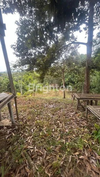 image TANAH DIJUAL (2)