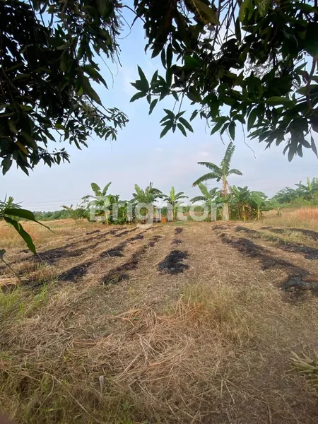 image JUAL TANAH KAVLING 500 M, DI PERUMAHAN DEKAT TOL GABUS TAMBUN UTARA (3)