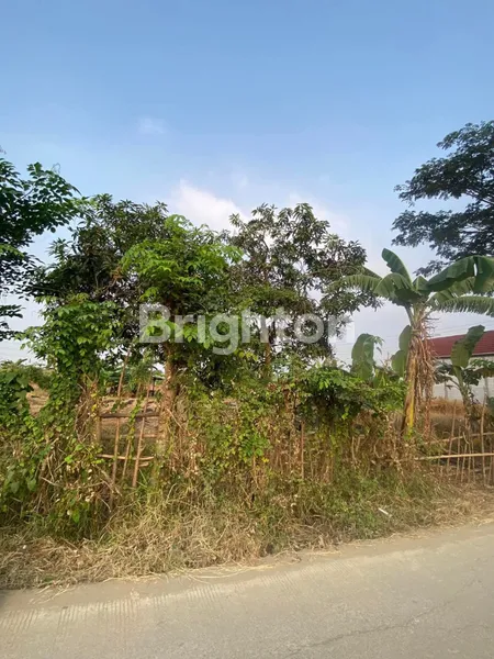 image JUAL TANAH KAVLING 500 M, DI PERUMAHAN DEKAT TOL GABUS TAMBUN UTARA (4)