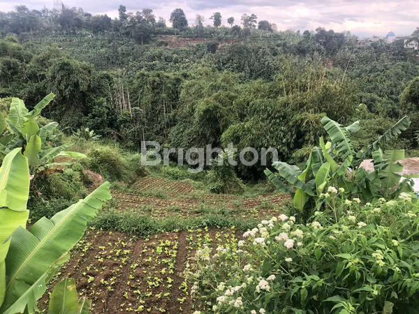 image LAHAN INVESTASI 1.721 M², COCOK PERUMAHAN/VILLA DI CISARUA (2)