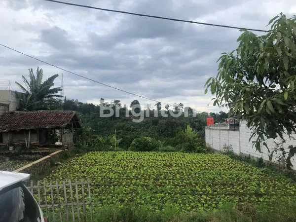 image LAHAN INVESTASI 1.721 M², COCOK PERUMAHAN/VILLA DI CISARUA (7)