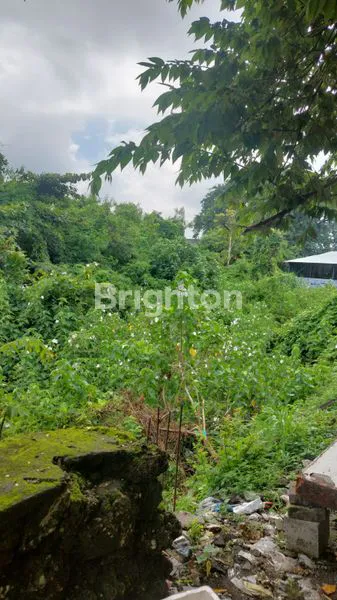image TANAH SUPER PREMIUM DIJUAL – TEUKU UMAR, DENPASAR BARAT (1)