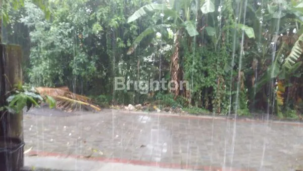 image TANAH DALUNG AREA PERUMAHAN COCOK UNTUK MEMBANGUN RUMAH (2)