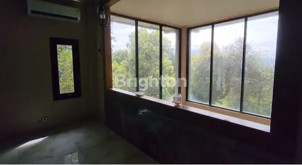 image DI JUAL TANAH KEBUN DI DAERAH CIJERUK (8)