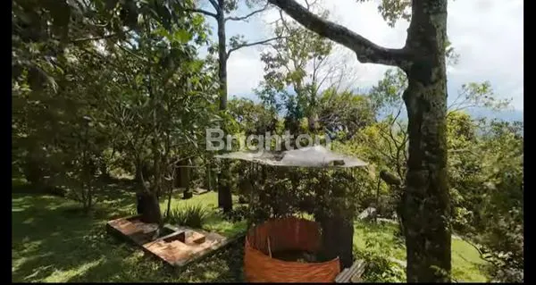 image DI JUAL TANAH KEBUN DI DAERAH CIJERUK (4)