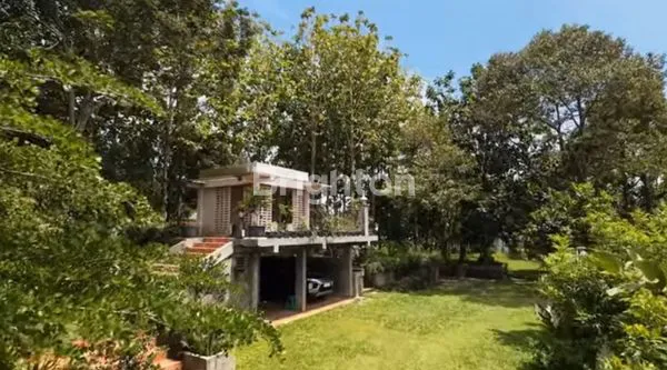 image DI JUAL TANAH KEBUN DI DAERAH CIJERUK (5)