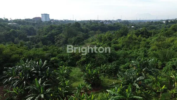 image JUAL TANAH PONDOK CABE (4)