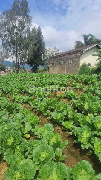 image TANAH STRATEGIS DEKAT WISATA COBAN TALUN BATU (2)