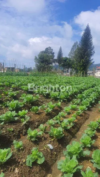 image TANAH STRATEGIS DEKAT WISATA COBAN TALUN BATU (3)