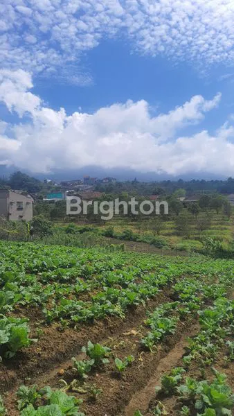 image TANAH STRATEGIS DEKAT WISATA COBAN TALUN BATU (1)
