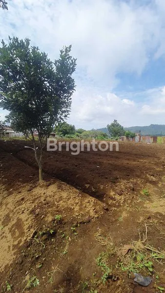 image TANAH 613 M²  SIAP BANGUN DI NOL JALAN TULUNGREJO BATU (3)