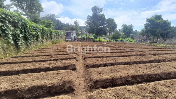 image TANAH 613 M²  SIAP BANGUN DI NOL JALAN TULUNGREJO BATU (1)