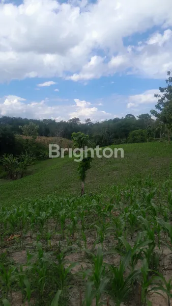 image DI JUAL TANAH KOSONG NATAR (6)