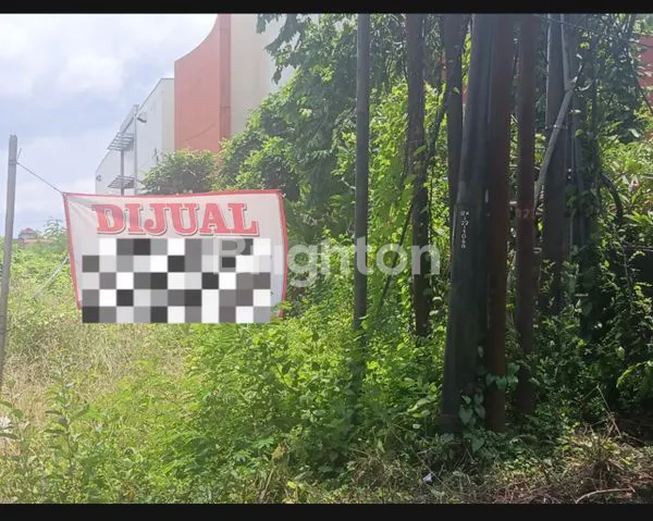 TANAH PROSPEK DI PEMOGAN, SUNSET ROAD - 50 ARE