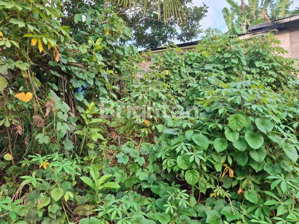 image TANAH KAPLING STRATEGIS DI LOA BAKUNG, SAMARINDA (8)