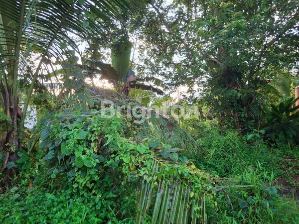 image TANAH KAPLING STRATEGIS DI LOA BAKUNG, SAMARINDA (1)