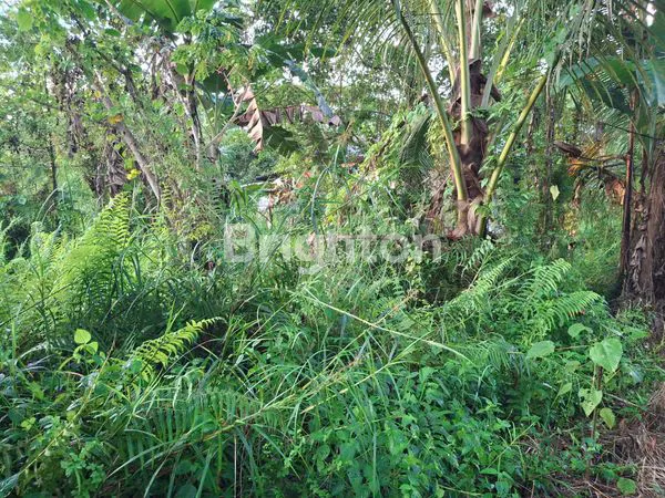 image TANAH KAPLING STRATEGIS DI LOA BAKUNG, SAMARINDA (5)