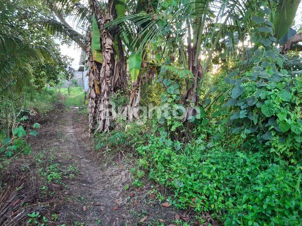 image TANAH KAPLING STRATEGIS DI LOA BAKUNG, SAMARINDA (2)