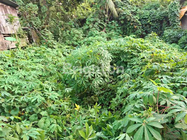 image TANAH MURAH 200M², LOKASI NYAMAN DI KUNJANG (8)