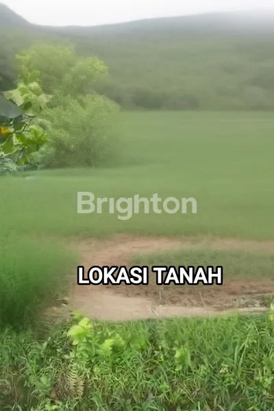 image TANAH STRATEGIS 16.973 M² DI JALAN PROJAKAL, BALIKPAPAN (4)