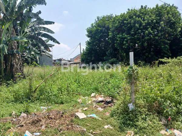 image TANAH JATI ASIH (3)