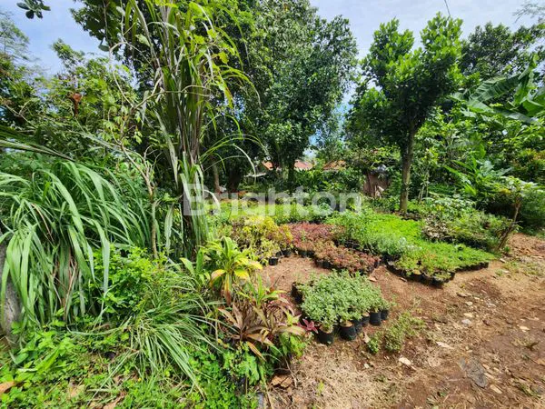 image KAVLING PARUNG 469M² (2)