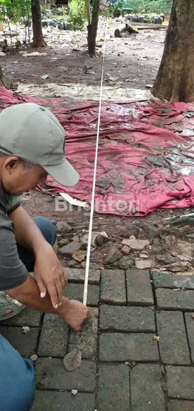 image DI JUAL TANAH (5)