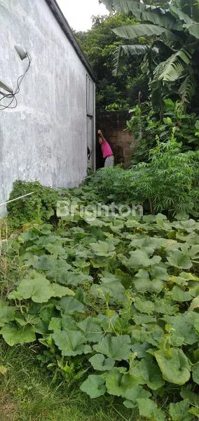 image DI JUAL TANAH (4)