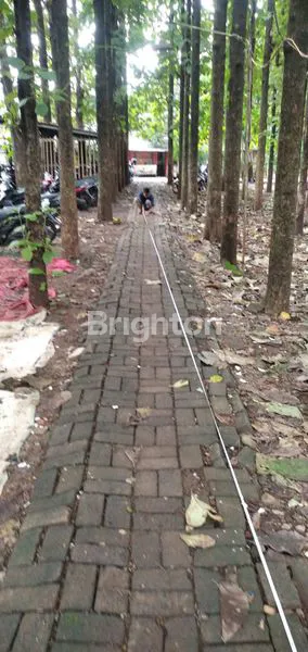 image DI JUAL TANAH (2)