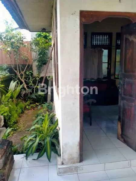 image DISEWAKAN JANGKA PANJANG RUMAH 4 KAMAR LOKASI JALAN UTAMA UNGASAN BADUNG  (2)