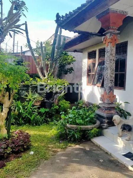 image DISEWAKAN JANGKA PANJANG RUMAH 4 KAMAR LOKASI JALAN UTAMA UNGASAN BADUNG  (1)
